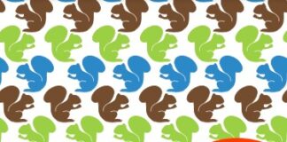 มาช่วยกันชี้โพรงให้กระรอก (ปลอดภัย) 2