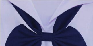 แนวทางการดูแลช่วยเหลือนักเรียนที่ตั้งครรภ์