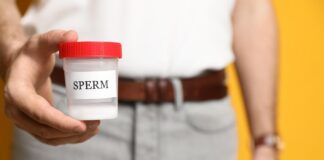 นี่แหละ โรงงานผลิตน้ำเชื้อ (แห่งชีวิต)