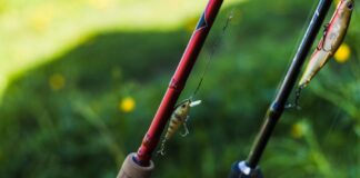 สุขส่วนตัว..ของสาวๆ